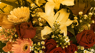 The Art of the Meaningful Apology